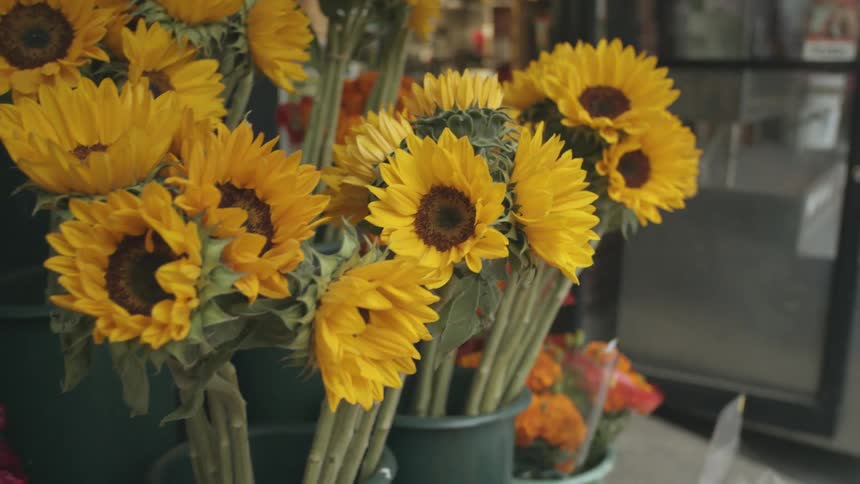 Big yellow sunflowers on display outside a shop in the city
