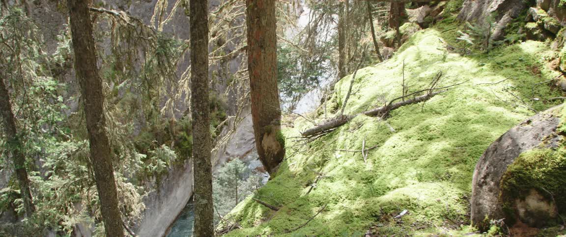 The stream is under the cliff