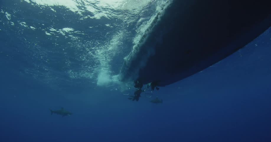 A boat is splashing in the water while two sharks swim behind it in the distance