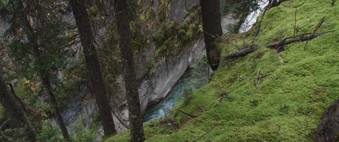 The rapids are at the bottom of the cliff