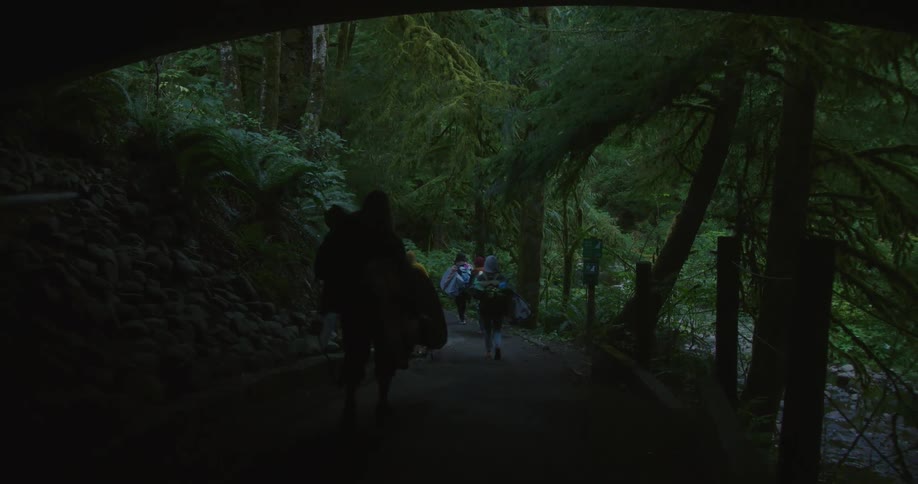 Hikers carry backpacks along shadowy trail
