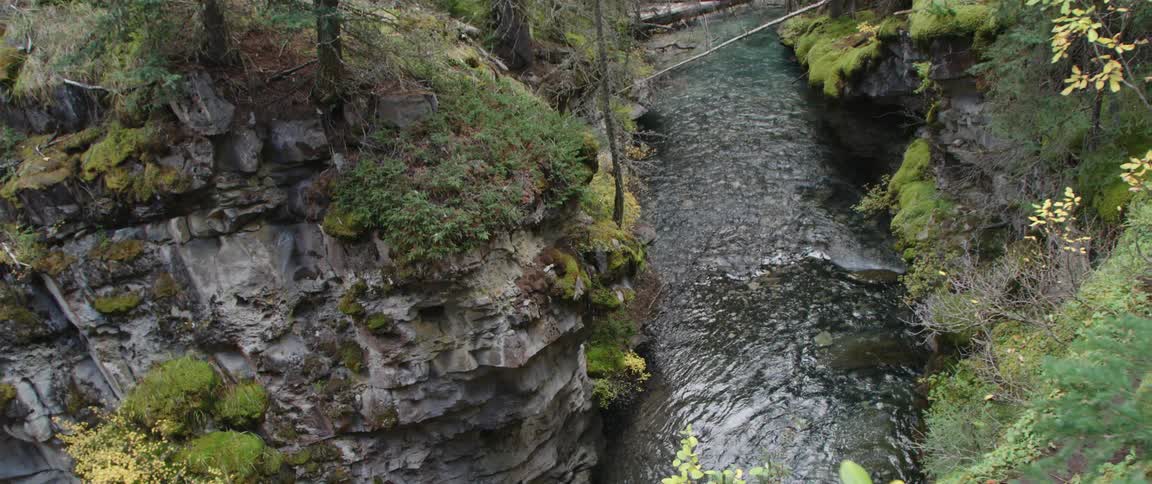The log is fallen over the stream