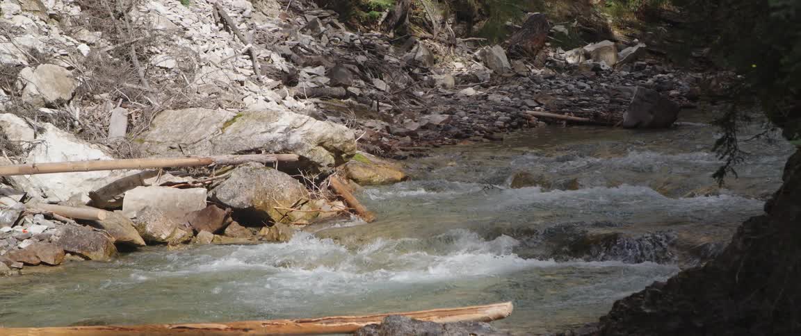 Rapids flow over rocks in a stream
