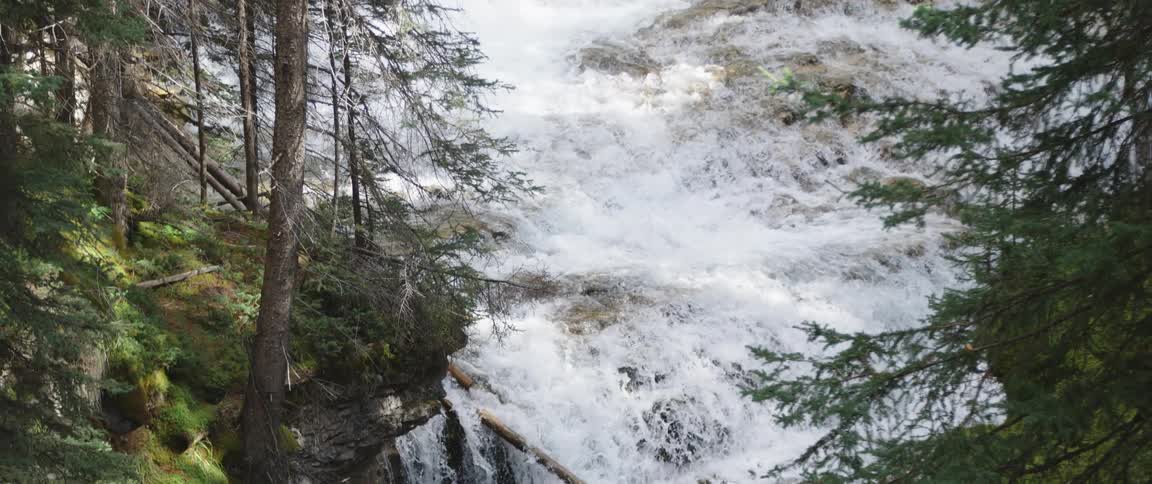 Rapids flow down a stream to a waterfall surrounded by trees