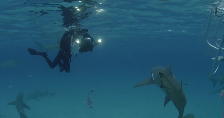 A scuba diver films swimming sharks
