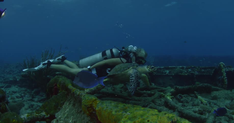 Diver swimming with turtle near wreckage on ocean floor