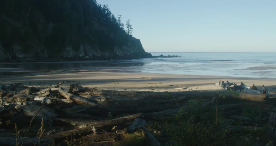 People are walking on the coast with surf boards