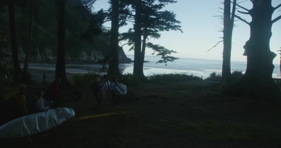Group of friends carry surfboards through the forest next to a beach at morning