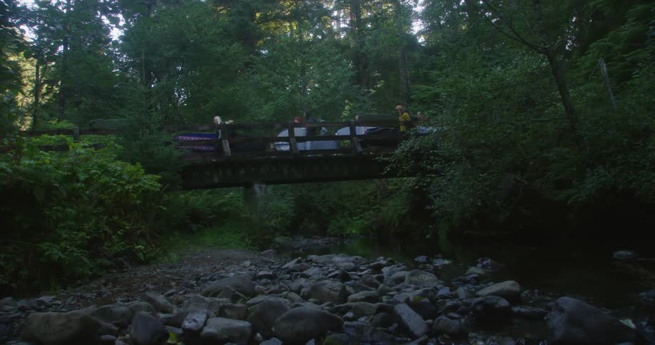 People are walking over a bridge in a wooded area