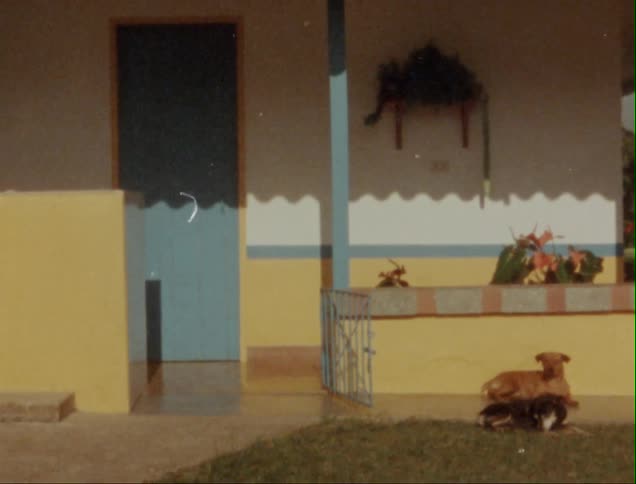 A small dog lays in front of a colorful house