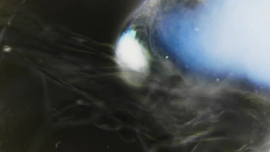 A zooming close up of the moving extremities of a translucent microscopic organism swimming