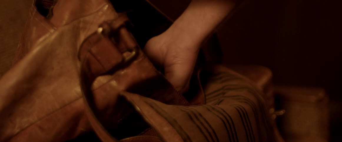 A womans hand reaches into a handbag and pulls out a book
