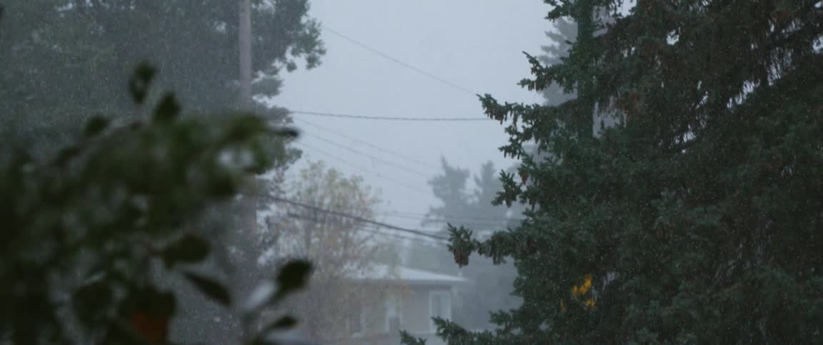 Its snowing in a neighborhood during the day