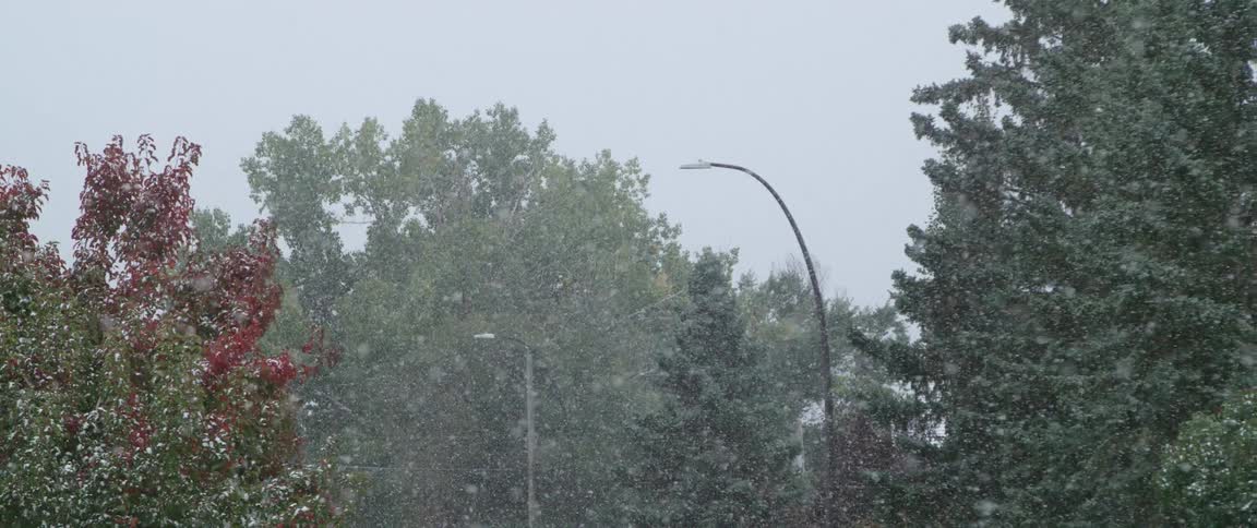 It snows in the public park with street lights
