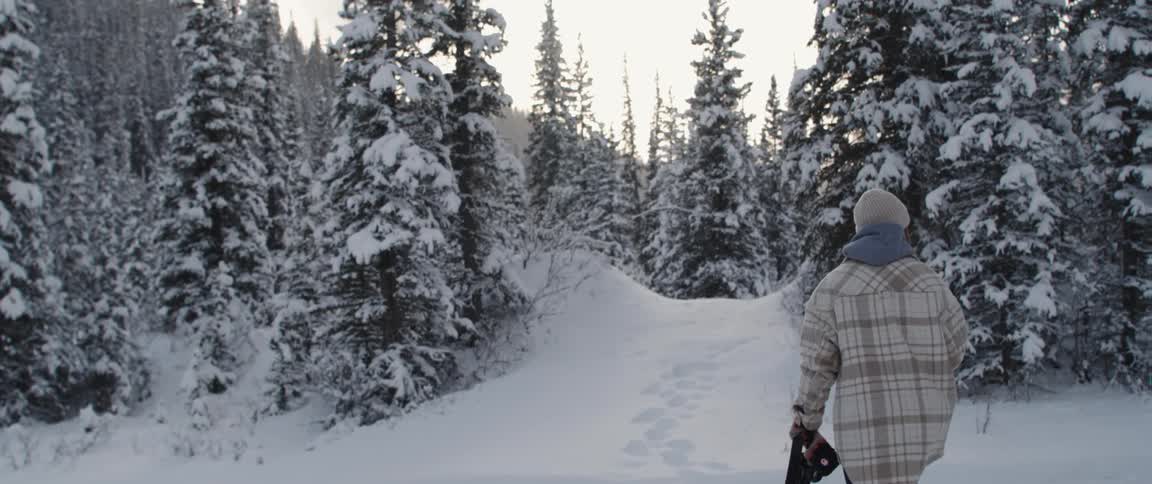 A person walks through snow toward evergreen trees