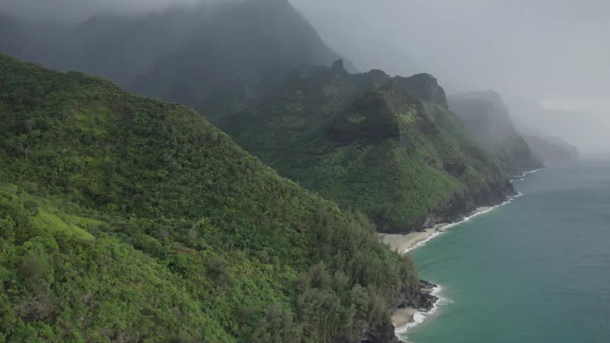 An aerial view of fog covering the coast as it meets a forest