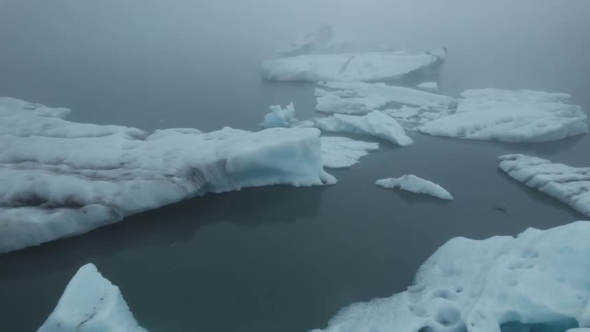 Birds are flying over chunks of ice floating in ocean water in the arctic