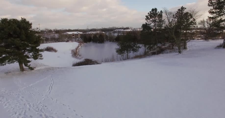Snow Day