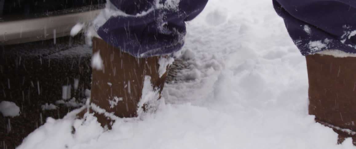 Snow Day