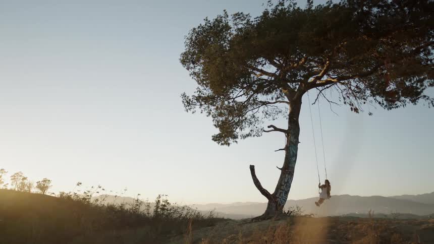 A woman swings on a tree swing on a sunny day