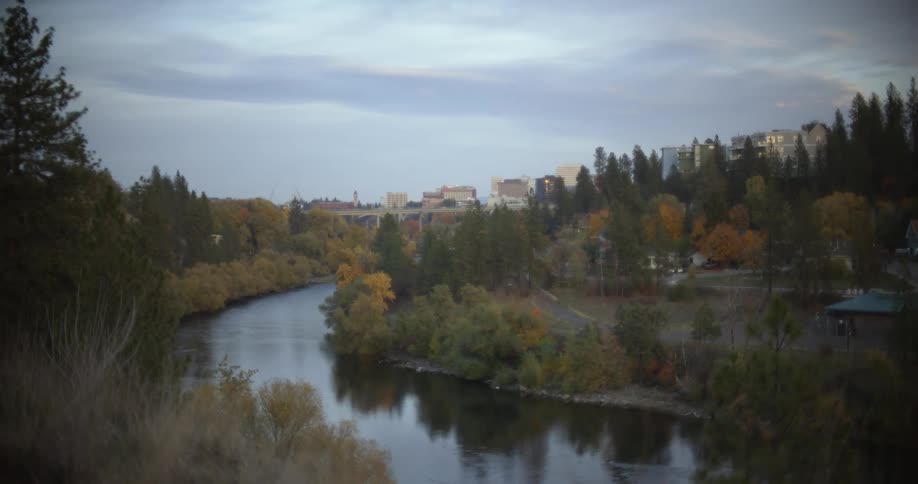 Surrounding trees and bushes are reflected on the smooth surface of a winding river in a park