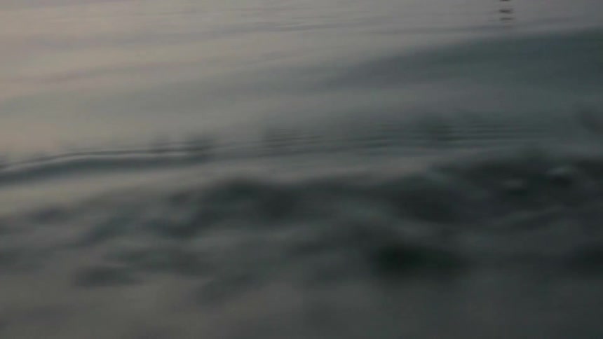 Guy Surfing On Coast