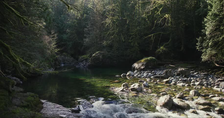 Water is flowing in a river in the morning