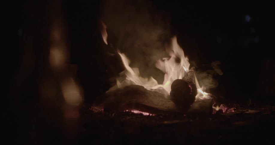 A campfire is raging at night
