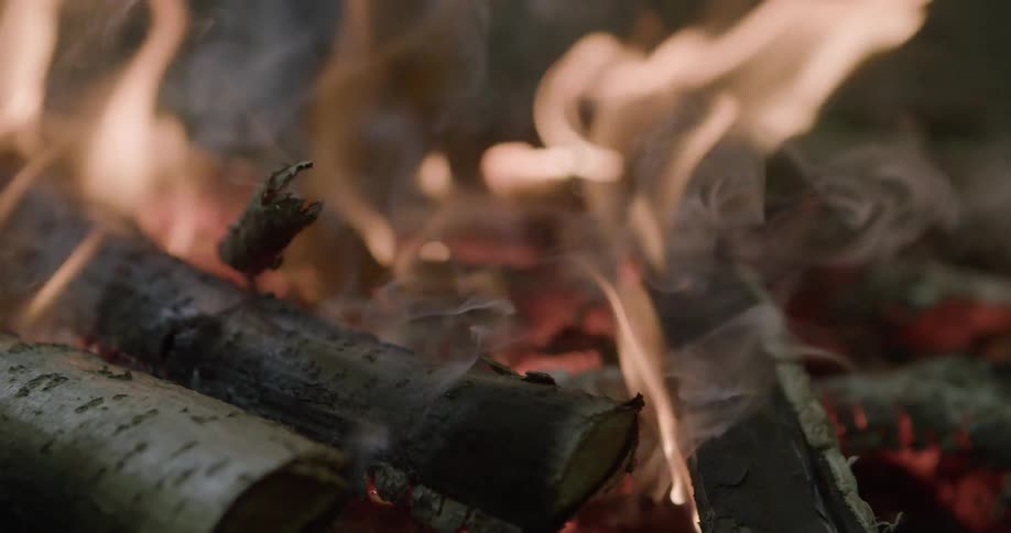 A fire burns logs