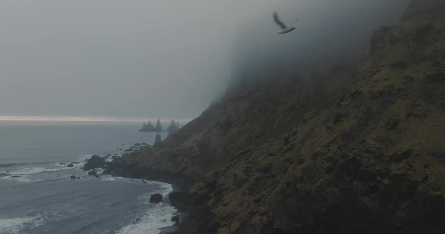 Aerial view of seagulls flying over the coast near the fog covered mountains
