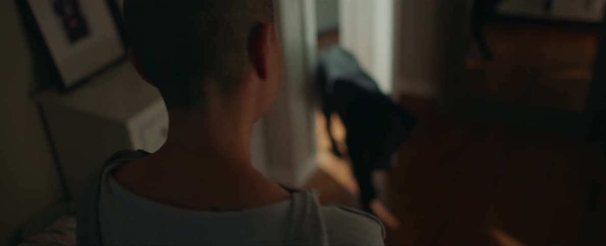 A person is standing in a room with their pet dog
