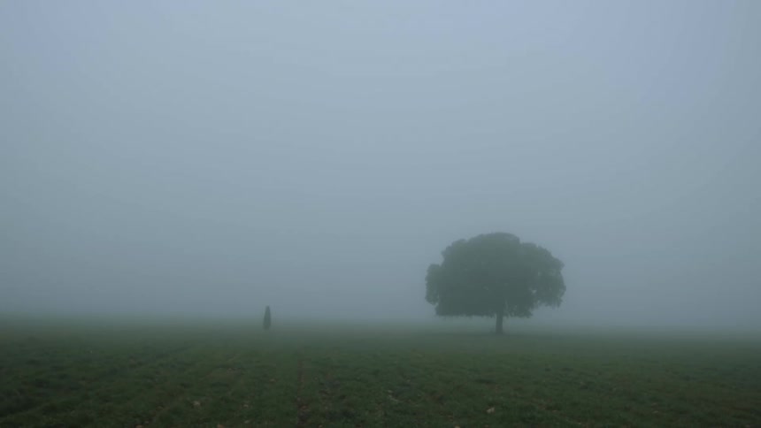 Fog and mist is covering the open field in spring