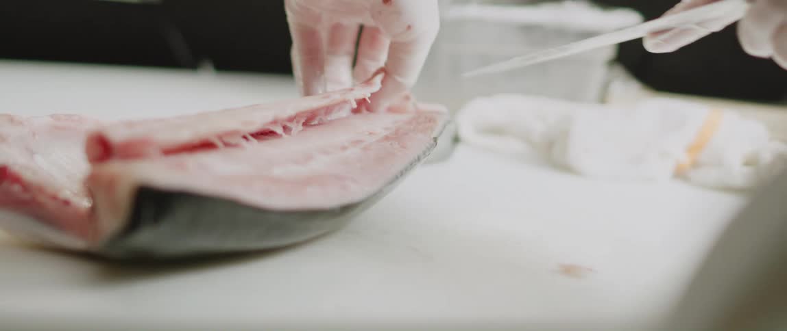 A chef is cutting a fish into filets and removing the bones