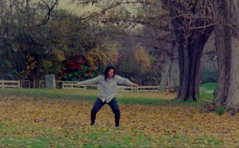 A woman dances in the park as leaves fall all around