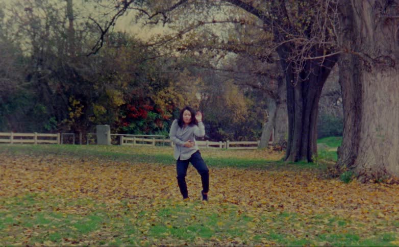 A woman dancing in a field covered with autumn leaves