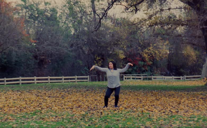 A woman modern dancing in a field covered in autumn leaves