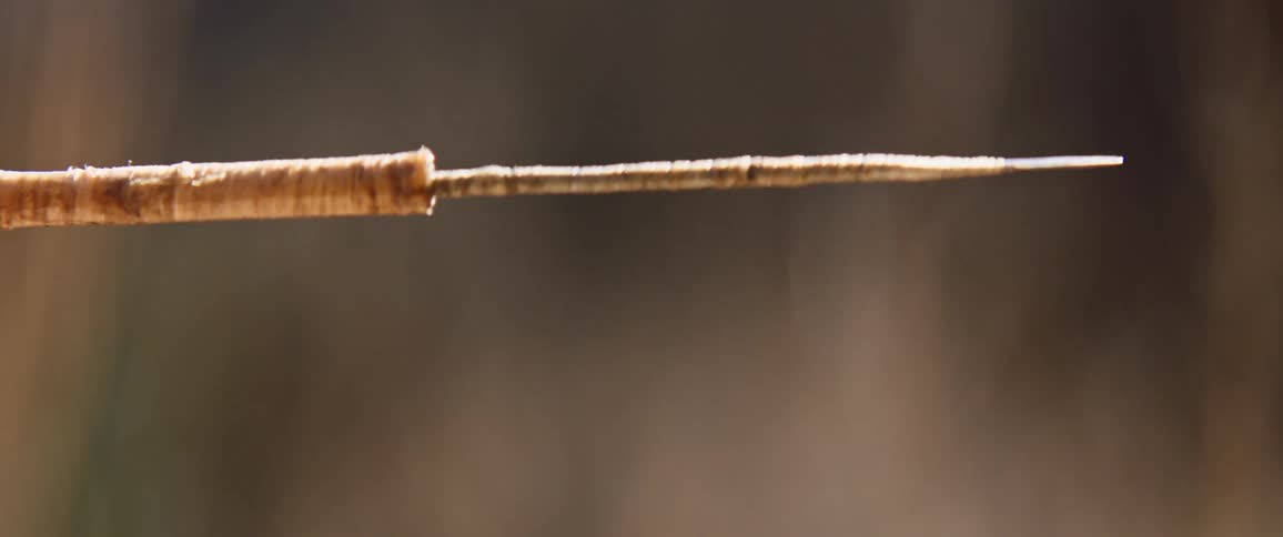 Close-up of handmade arrowhead