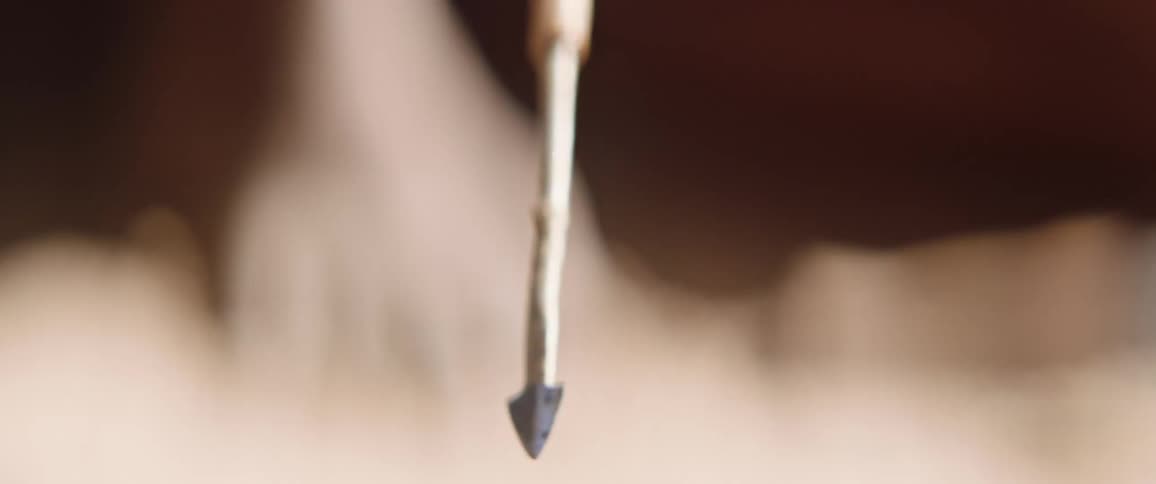 Handmade arrow for hunting