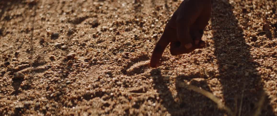 Man points to animal tracks