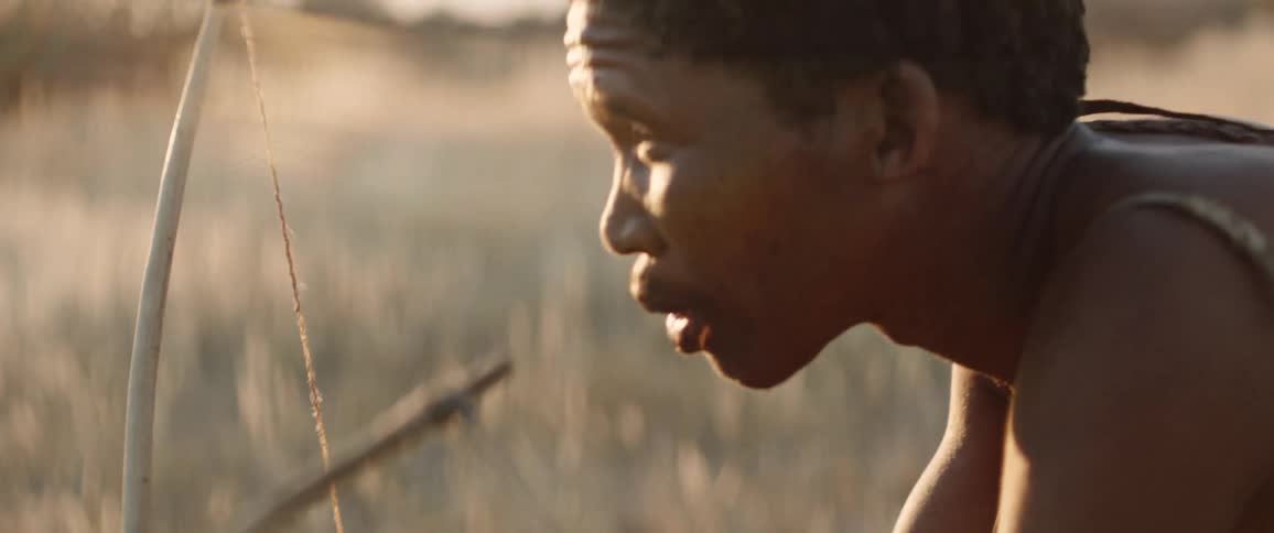 Tribal man with bows hunt for food in african field