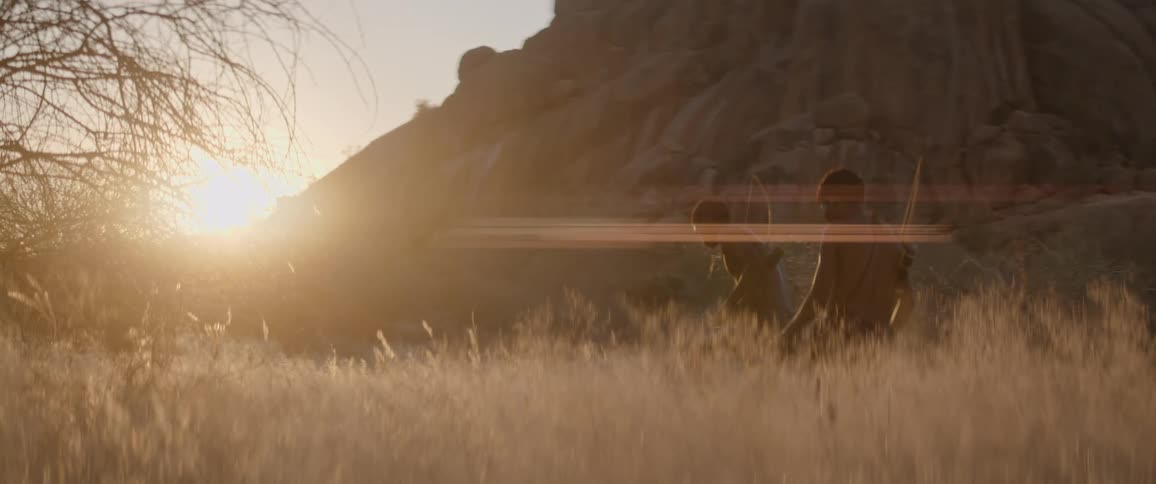 Hunters with bow stalk through the tall grass at sunset