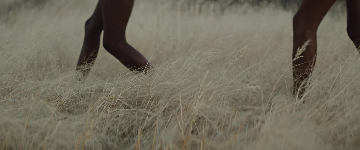 Two people are walking through very tall grass