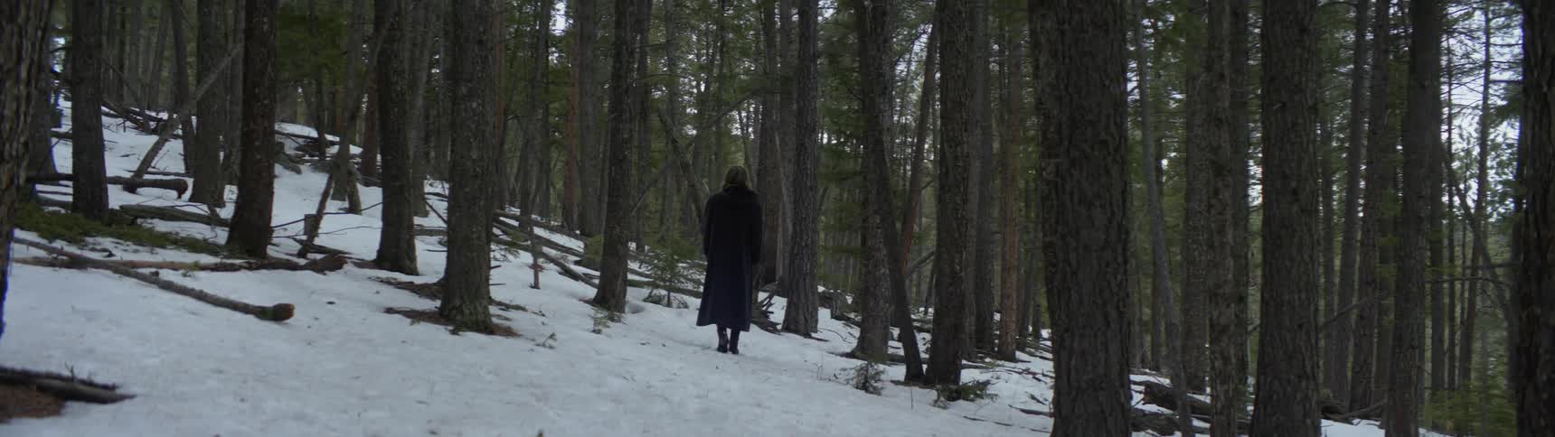 A woman walks through a snowy forest
