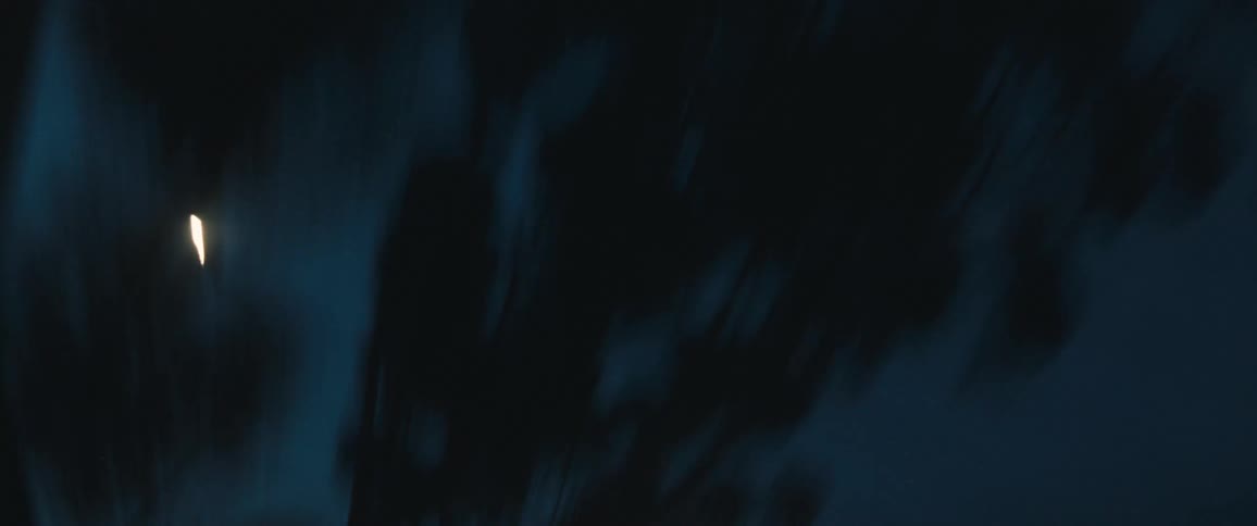 Trees and lights quickly moving by