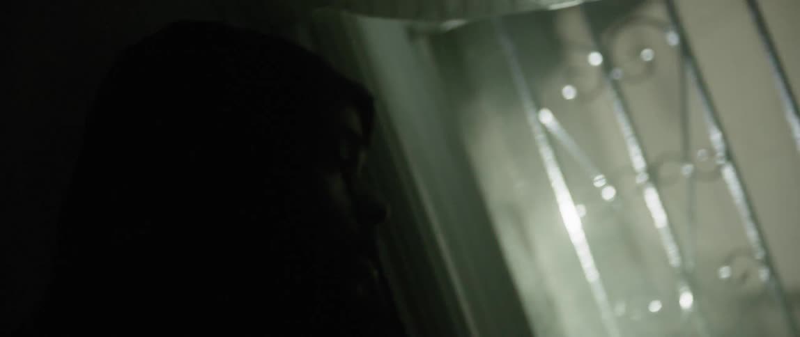 A man peeks out of a home window with police lights flashing outside