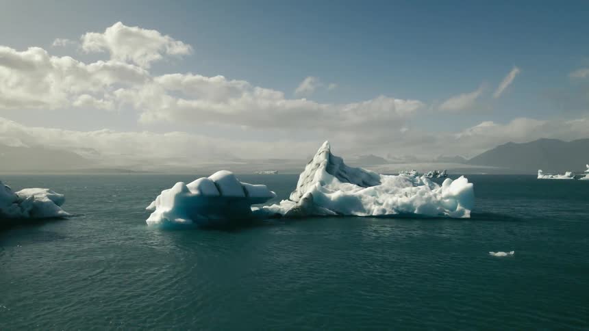 A seagull flies over icebergs and broken ice that are floating in arctic waters