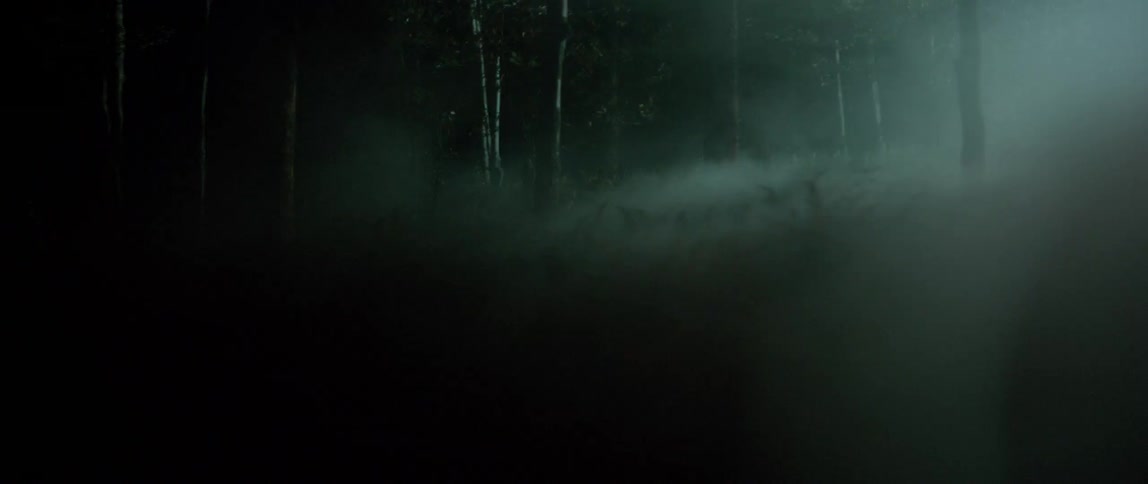 Moving past a foggy forest at night
