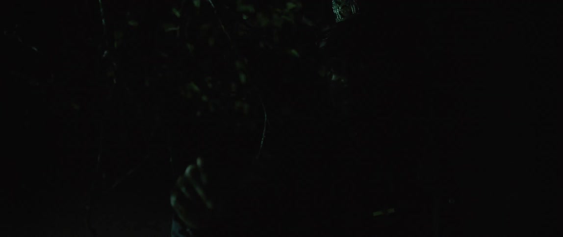 A cop holds his hand toward a flashing light