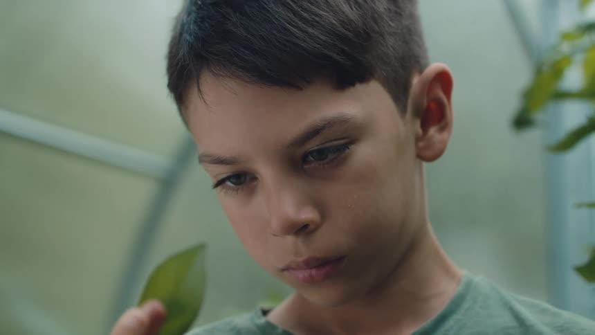 A boy standing in a greenhouse holding a single leaf and examining it