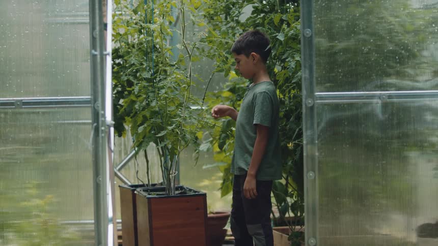 A boy is standing in a greenhouse looking at plants and touching them